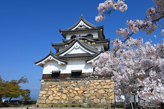 ベビーカーで行ける?未就学児でも安心!彦根城・長浜城・安土城跡のバリアフリー観光ガイド