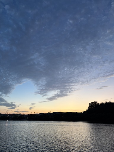 早朝の琵琶湖の様子