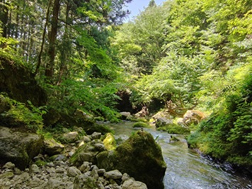 河内風穴の周辺風景
