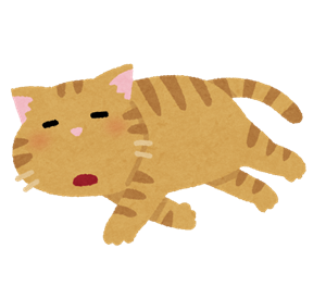 寝てる猫